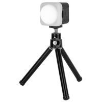 SmallRig RM01 Kit Mini LED Video Light 3469