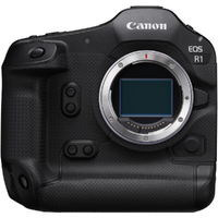 Canon EOS R1 Mirrorless Camera Body Only