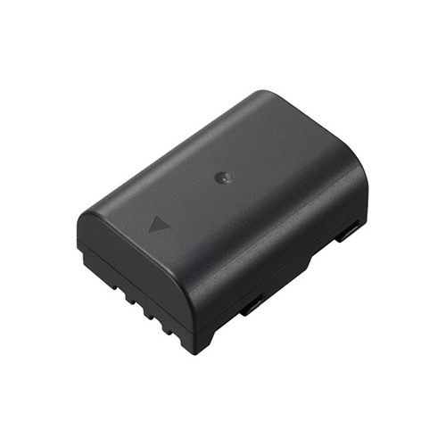 Panasonic DMW-BLF19E Rechargeable Battery