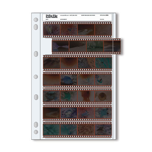 Print File Archival 35mm Negative Sleeves 7 x 4 Strips – 25 Sheets