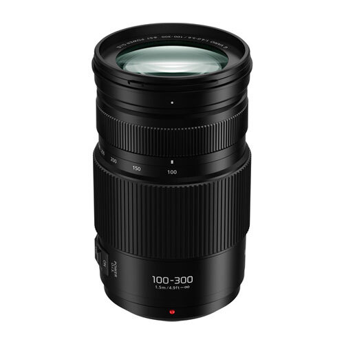 Panasonic Lumix G Vario 100-300mm f/4-5.6 II POWER OIS Lens – Micro Four Thirds 