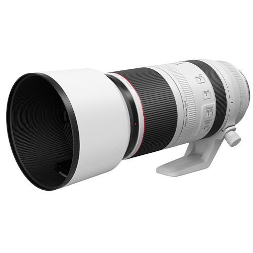 Canon RF 100-500mm f/4.5-7.1 L IS USM