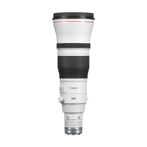 Canon RF 600mm f/4 L IS USM Lens