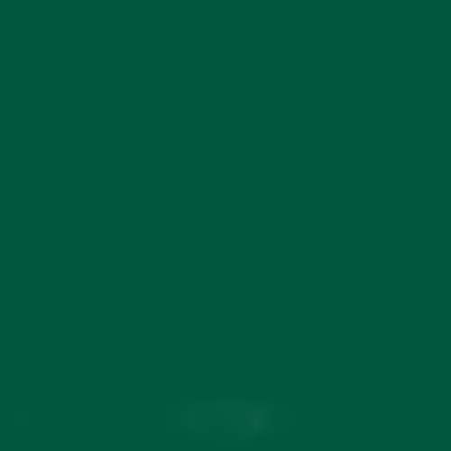 Superior Background 12 - 2.72 x 11m - Deep Green