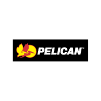 Pelican